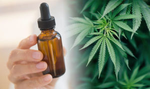 make use of the CBD oil