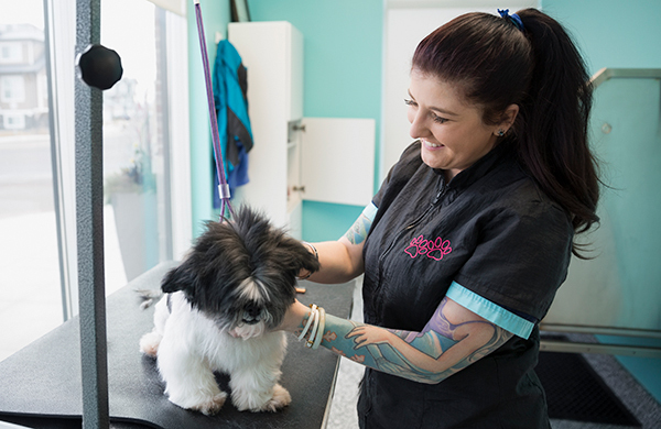 Various aspects of grooming