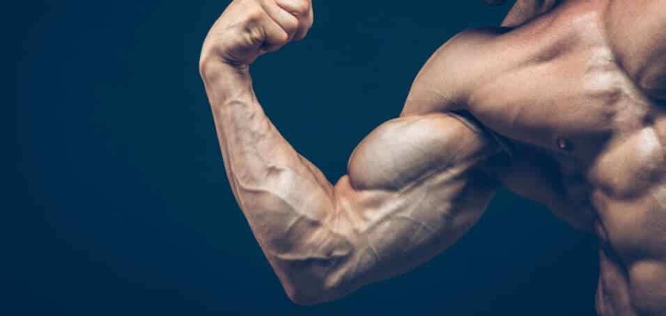 best sarms for bulking