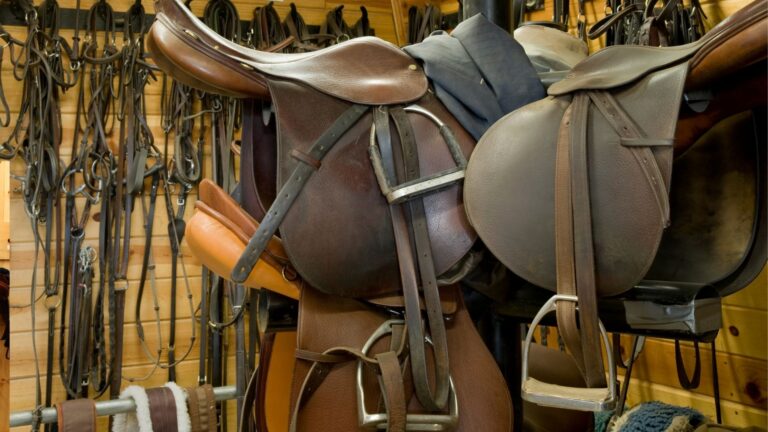Basic Horse Supplies: Essential Items for Every Tack Store